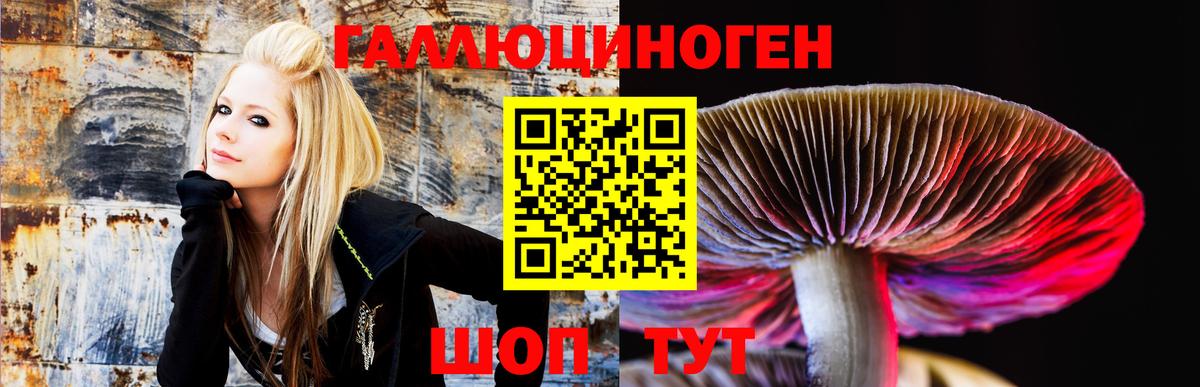 Кузнецк  дарнет шоп  Вход с VPN  Псилоцибиновые грибы Magic Shrooms 